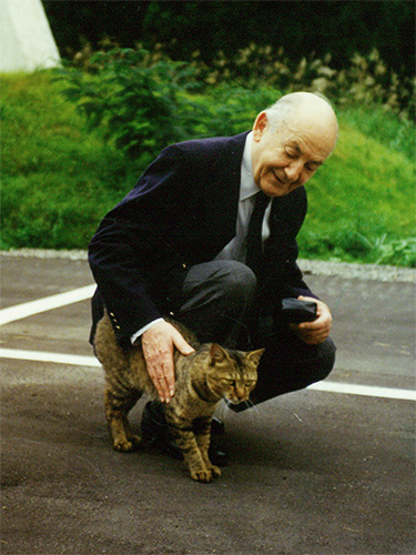 猫を撫でるゴールドベルク